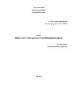 Research Papers 'Baltijas jūras valstu padomes loma Baltijas jūras reģionā', 1.