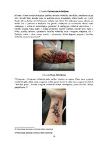 Presentations 'Tetovējumu izvēle un to simboliskā nozīme jauniešu sabiedrībā Latvijā', 19.