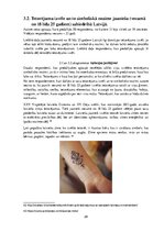 Presentations 'Tetovējumu izvēle un to simboliskā nozīme jauniešu sabiedrībā Latvijā', 28.
