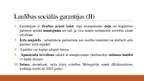 Presentations 'Laulības sociālās garantijas', 6.