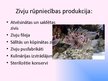 Presentations 'Zivsaimniecība un zivrūpniecība Latvijā', 6.