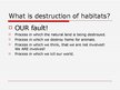 Presentations 'Destruction of Habitats', 2.