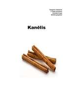 Research Papers 'Kanēlis', 1.