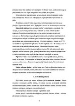 Research Papers 'Rudzu - kviešu maize', 18.