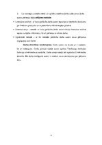 Research Papers 'Tiesībsarga (ombuda) funkcijas cilvēktiesību aizsardzībā', 4.