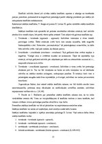 Term Papers 'Konfliktu cēloņi un darbinieku uzvedības stratēģijas konfliktu situācijās valsts', 13.