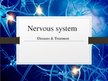 Presentations 'Nervous System', 1.