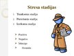 Presentations 'Stresa ietekme uz cilvēku un stresa vadīšanas iespējas', 6.