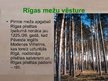 Presentations 'Rīgas mežu vēsture', 3.