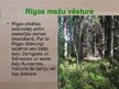 Presentations 'Rīgas mežu vēsture', 4.