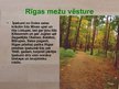 Presentations 'Rīgas mežu vēsture', 5.