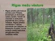 Presentations 'Rīgas mežu vēsture', 6.