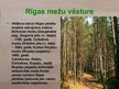 Presentations 'Rīgas mežu vēsture', 8.