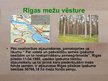 Presentations 'Rīgas mežu vēsture', 11.