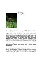 Summaries, Notes 'Orhideju dzimta', 9.