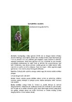 Summaries, Notes 'Orhideju dzimta', 13.