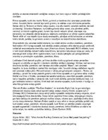 Essays 'Filmas “Cīņas klubs” (“Fight club”) analīze', 4.