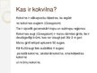 Presentations 'Kokvilna', 2.