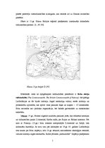Research Papers 'Partnerpilsētu - Melles un Jēkabpils - sadraudzības vēsture un attīstība', 8.