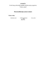 Practice Reports 'Pirmskvalifikācijas prakse Rēzeknes tiesā', 1.