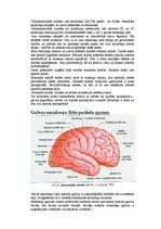 Research Papers 'Augstāko un zemāko smadzeņu centru funkcijas', 4.