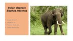 Presentations 'Elephants. Human Impacts and Threats', 6.