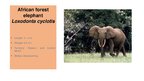 Presentations 'Elephants. Human Impacts and Threats', 7.