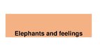 Presentations 'Elephants. Human Impacts and Threats', 8.