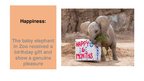 Presentations 'Elephants. Human Impacts and Threats', 9.
