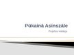 Presentations 'Pūkainā Asinszāle', 1.