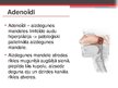 Presentations 'Adenoīdu hipertrofija', 2.