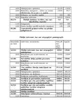 Research Papers 'Budžeta iestādes izdevumu plānošana Mārupes pagasta pašvaldības iestāžu bāzes', 19.