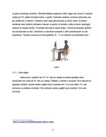 Research Papers 'Ergonomika darbā ar datoru', 11.