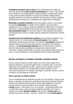 Summaries, Notes 'Etrusku vēsture, kultūra, mitoloģija, sabiedrība un kultūras mantojums', 15.