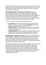 Summaries, Notes 'Etrusku vēsture, kultūra, mitoloģija, sabiedrība un kultūras mantojums', 18.