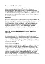 Summaries, Notes 'Etrusku vēsture, kultūra, mitoloģija, sabiedrība un kultūras mantojums', 28.