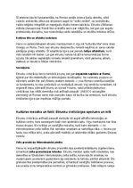 Summaries, Notes 'Etrusku vēsture, kultūra, mitoloģija, sabiedrība un kultūras mantojums', 35.