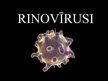 Presentations 'Rinovīrusi', 1.