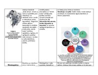 Summaries, Notes 'Mācīšanās psiholoģija atslēgas vārdi', 6.