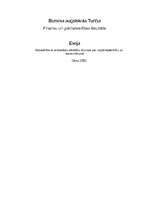 Essays 'Sabiedrība ar ierobežotu atbildību likumos par uzņēmējdarbību un komerclikumā', 1.