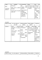 Practice Reports 'Aktīvā mācību un audzināšanas prakse pirmsskolā', 14.