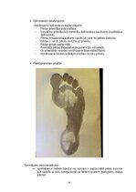 Summaries, Notes 'Anamnēze (fiziskās attīstības noteikšana)', 12.