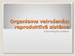 Presentations 'Organismu vairošanās. Reproduktīvā sistēma', 1.