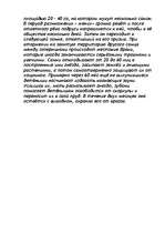 Research Papers 'Аллигаторы', 2.