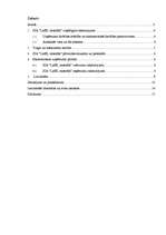 Research Papers 'Uzņēmuma "LatEL montāža" bilances pētīšana', 1.