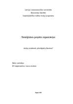 Research Papers 'Stratēģiskais projekts organizācijai', 1.