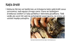 Presentations 'Kaķis kā simbols', 8.