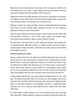 Essays 'Healthy eating at school', 6.
