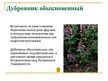 Presentations 'Охряаняемые растения, находящиеся в Красной книге Латвий', 3.