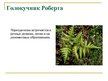 Presentations 'Охряаняемые растения, находящиеся в Красной книге Латвий', 9.